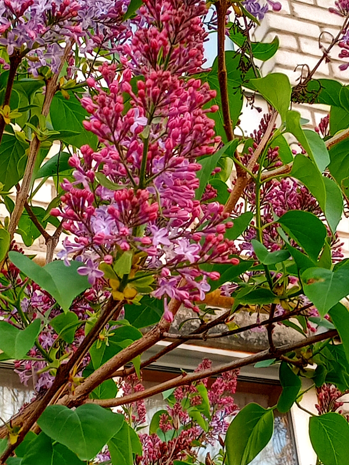 Красота природы