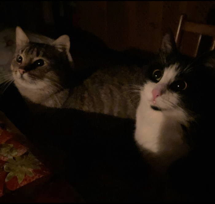 ����� ������ ������ �����������! ��� �����, ��� �����!