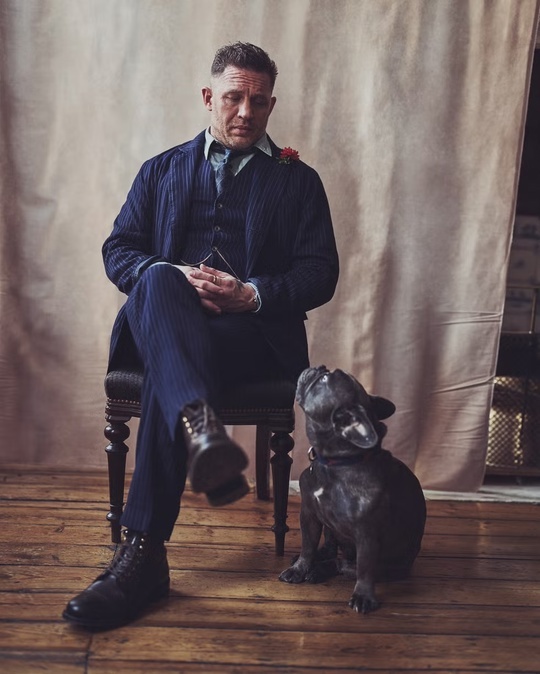       Esquire  , , , , ,   , 