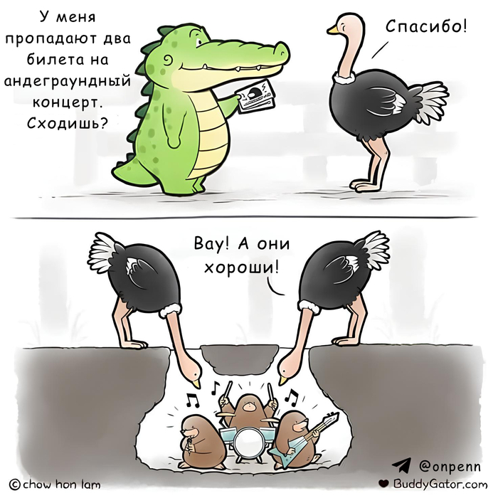   Buddygator, , , , , , 