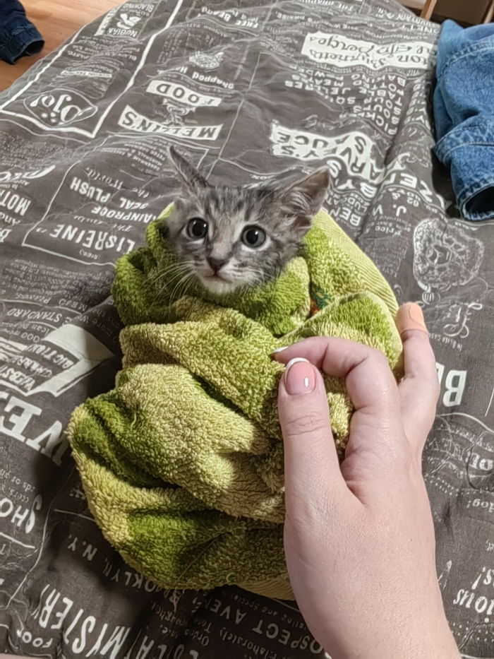  ,   !  [,  !] ,  , , 