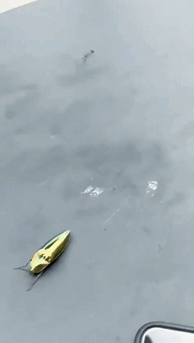 :   .       ? , , , , ,  ,  , ,   (), 