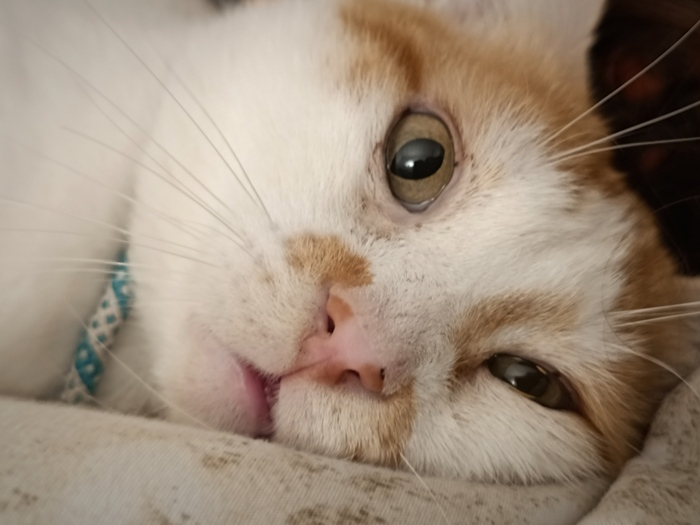      ? , , , , 