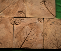 ������������ ������