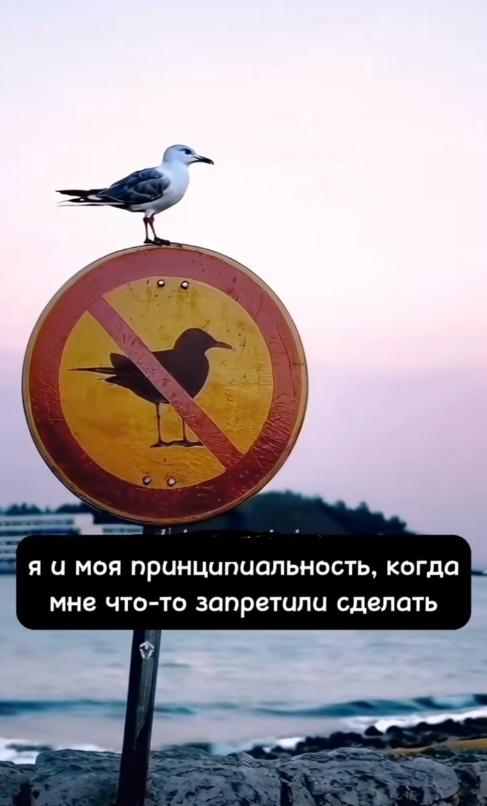    ? , 
