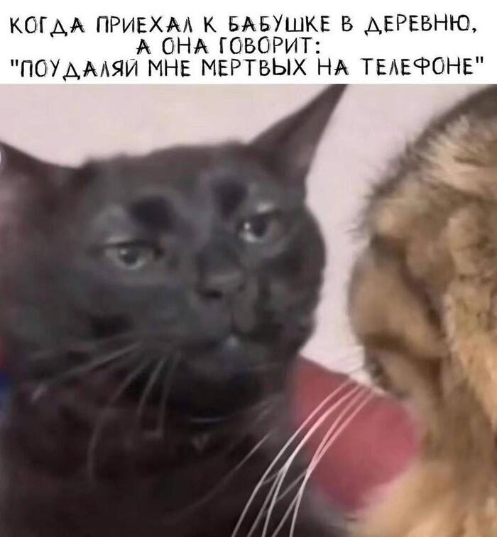    ...      ,   , , , 