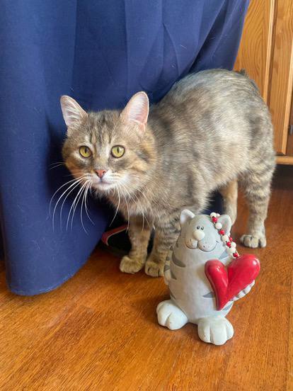 ����� ������ ����� ����� �����!