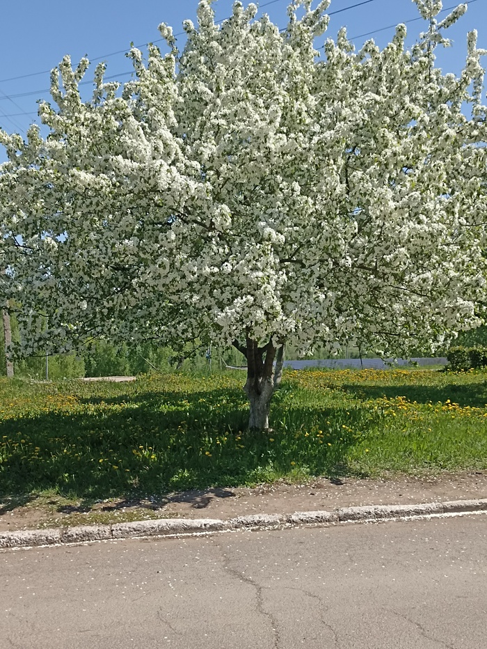    , , 