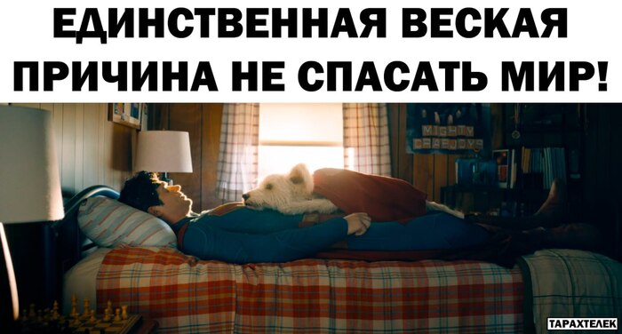 ! , , , Telegram (), ,   , 