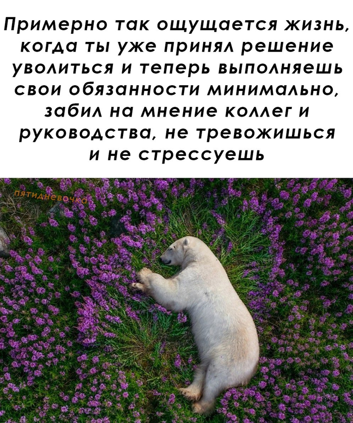 Прекрасное состояние