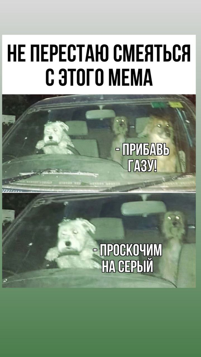           (  24 )  , , , , , 
