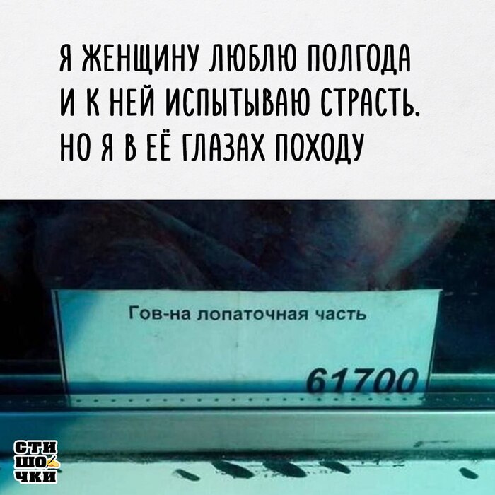   ,   , , , ,  ,   , , Telegram (), ,  