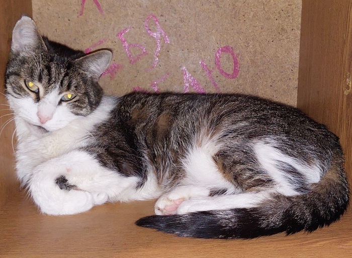 �������