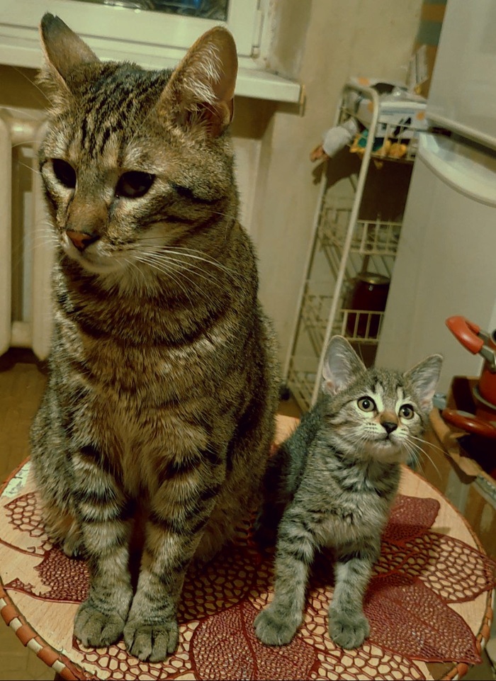 ������ � ������� )