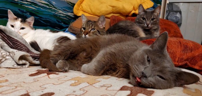 ������ � ��� ����� )