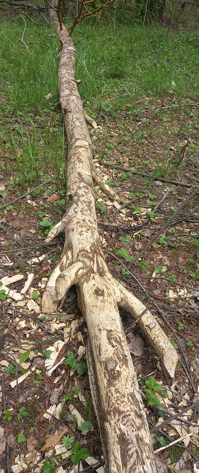 ��� �� �� �����, ��� � �������. �����, ��� ���� � ����� ���������, ��, ������ ���, �� ������ �� ����, �� � ������ ������ ���� � �����.