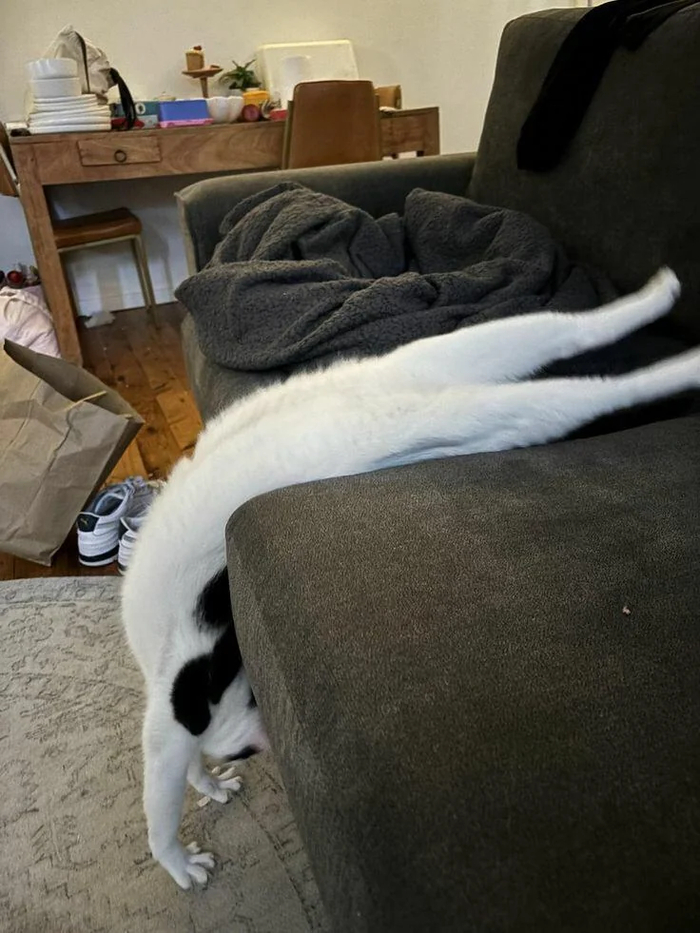     ,      , , , , , 