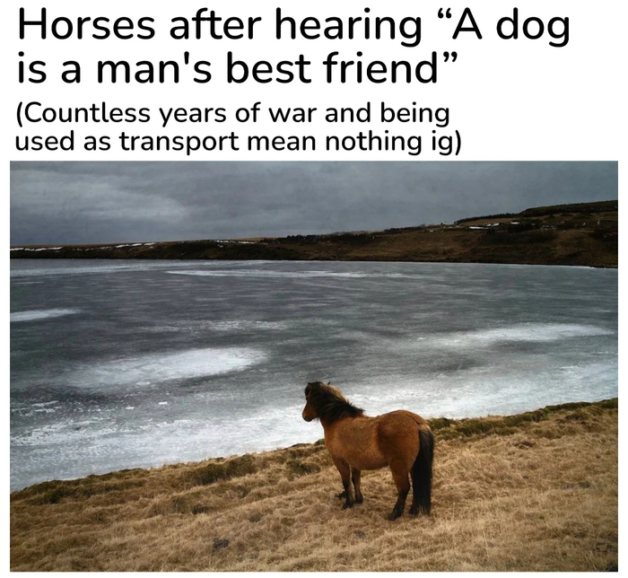 Memes in English Telegram (),  , ,   ,  ,  ,  , 