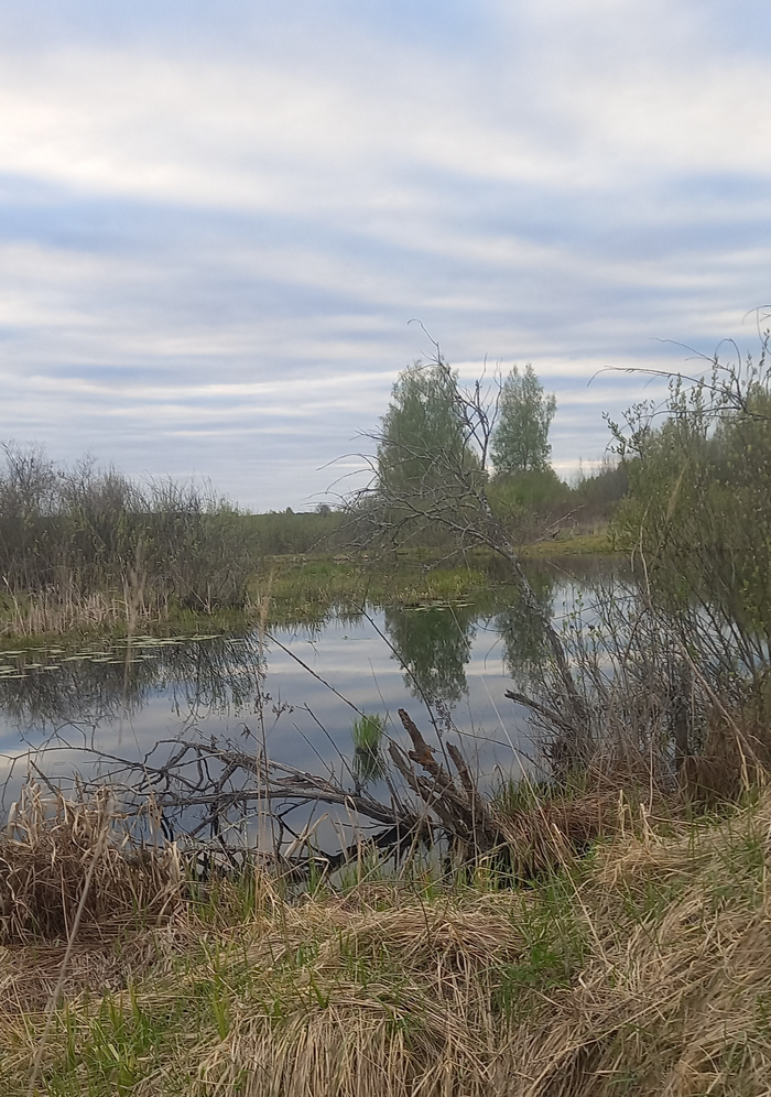 ��� ��, ��� ������. ���������� �����.