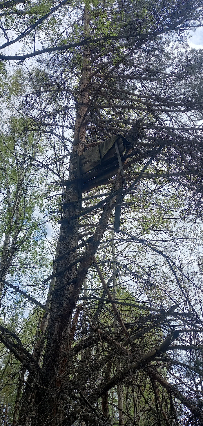 �� �� �������, ��� �����. �����, ��� ����� �� ���������� ���������.