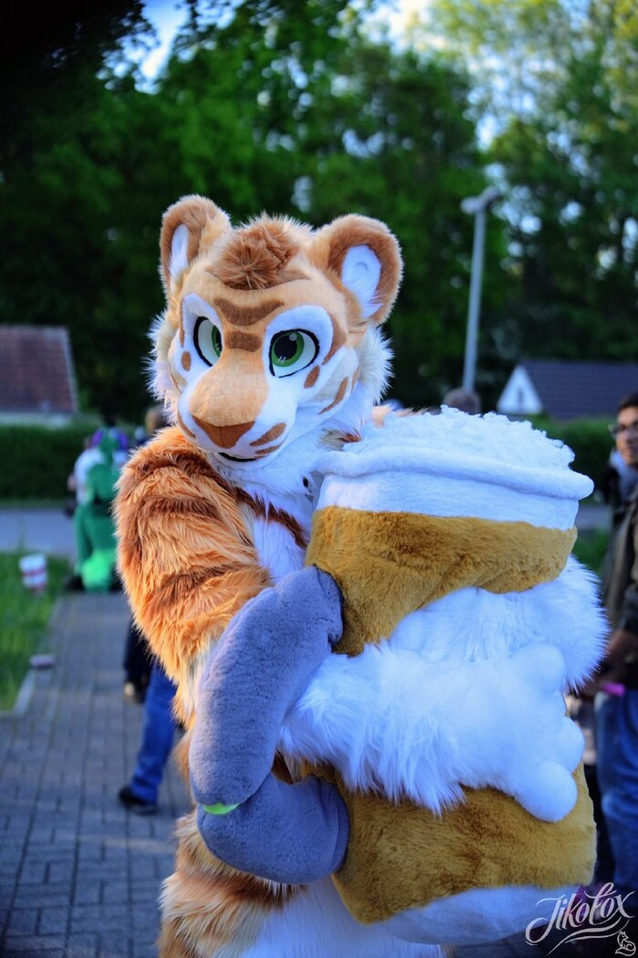   -   , Furry Tiger,  ,  , Furry Feline, 