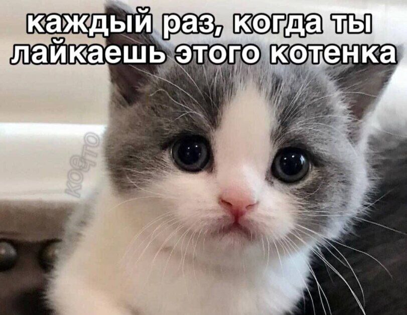 Ну как тут удержаться?...