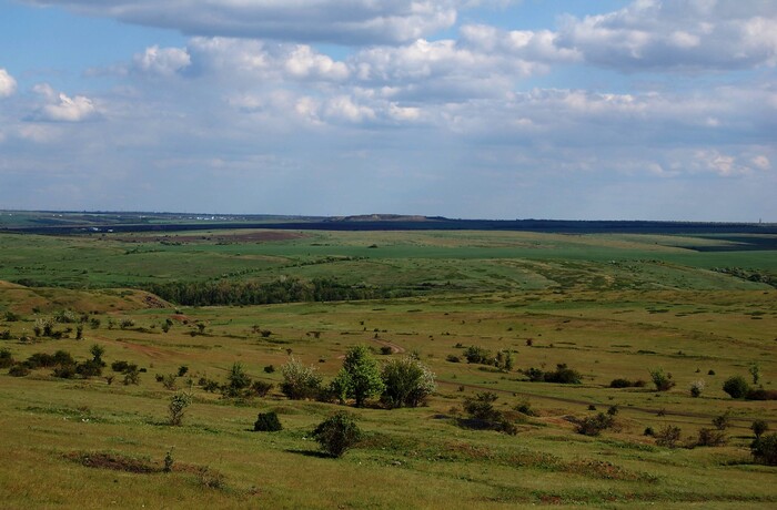 Дорога на хутор