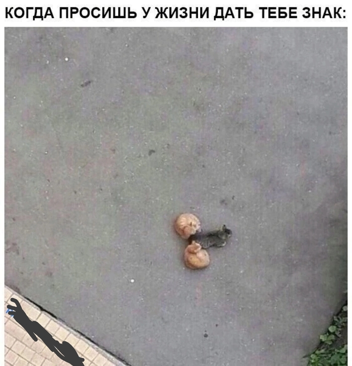 ������� ������