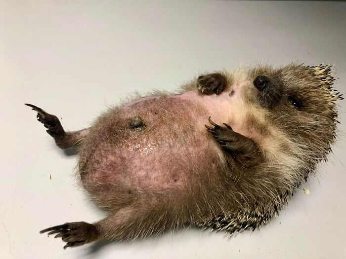 - ,  , , , , , , 