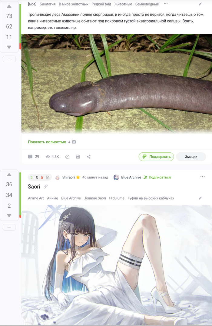      ... ,  ,   , ,  