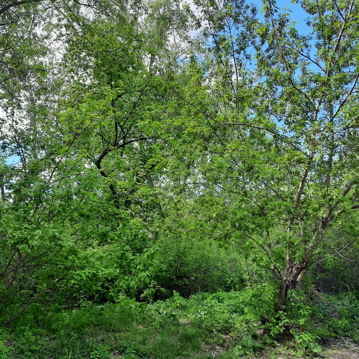 ���-�� ��� �������� ���������� ������.