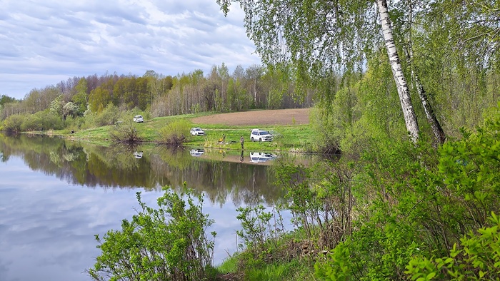 Рыбаки пытаются поймать карася