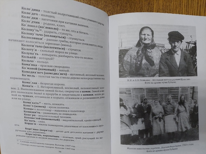 Примеры слов Вологодского говора.