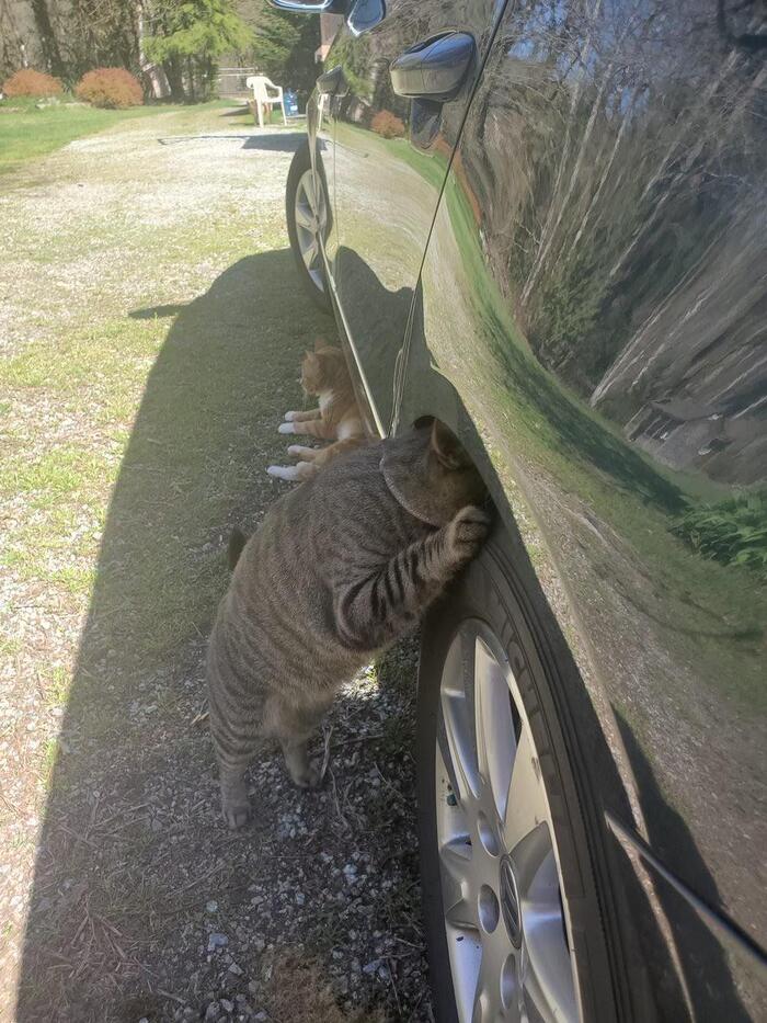        ?... , , , 