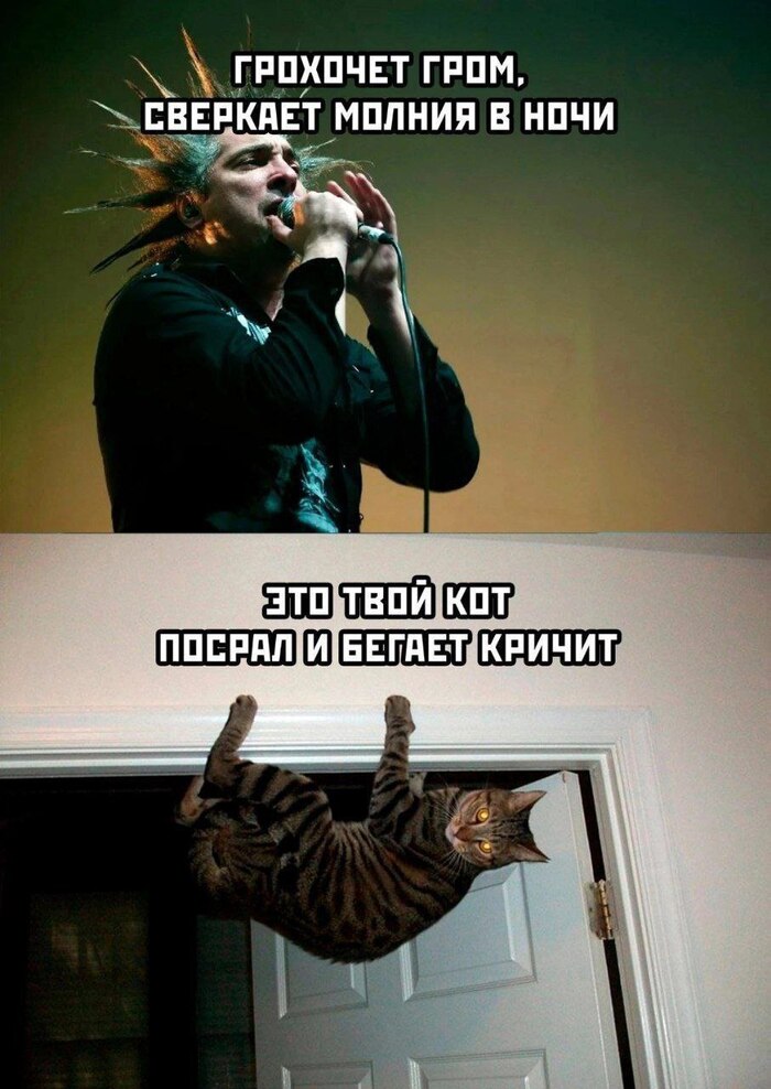  ,     , ,   