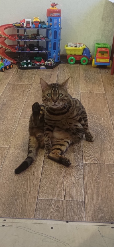 Иллюстрация к комментарию