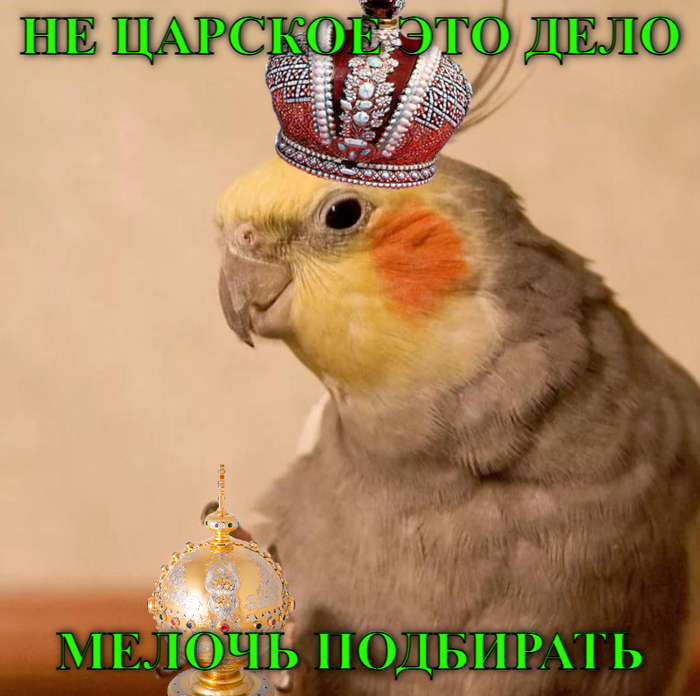    ,     ,  , ,    , , 