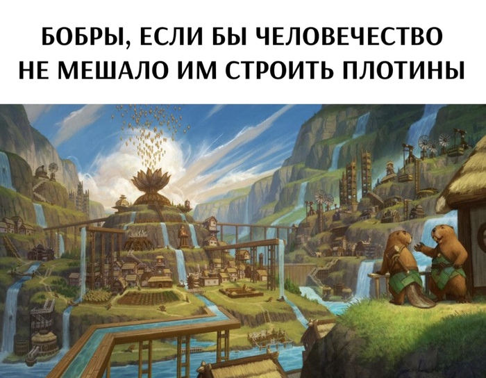  ,   , , , Telegram (),  , Timberborn