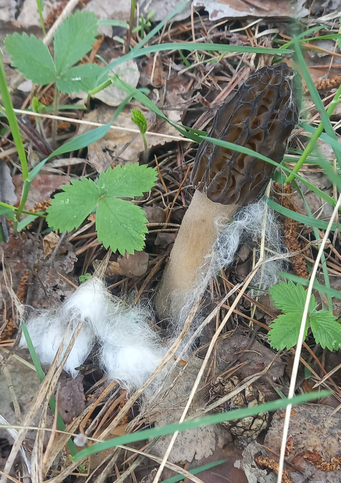 ������� ������ � ��� �����, ��� ����-����� ��������� ����� ��� ��� ������ ������, ����� ����� �� ������.