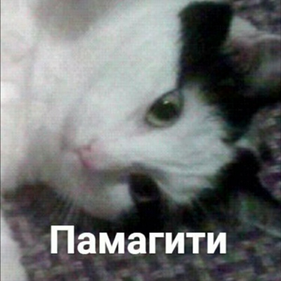       , ,  , , ,  