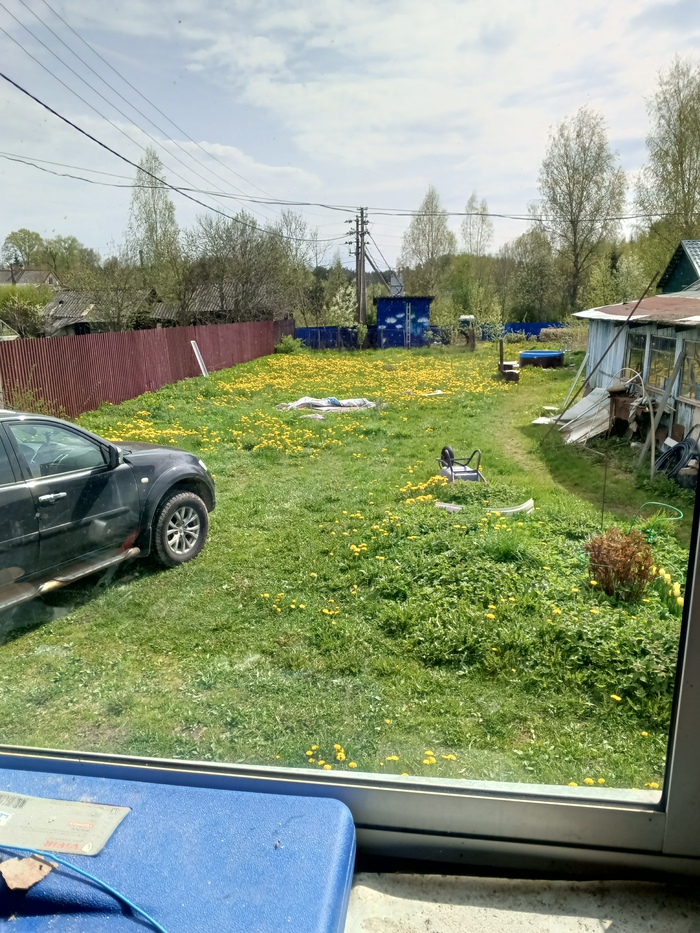 Небыл на даче 1 неделю