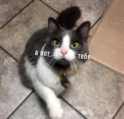 Иллюстрация к комментарию