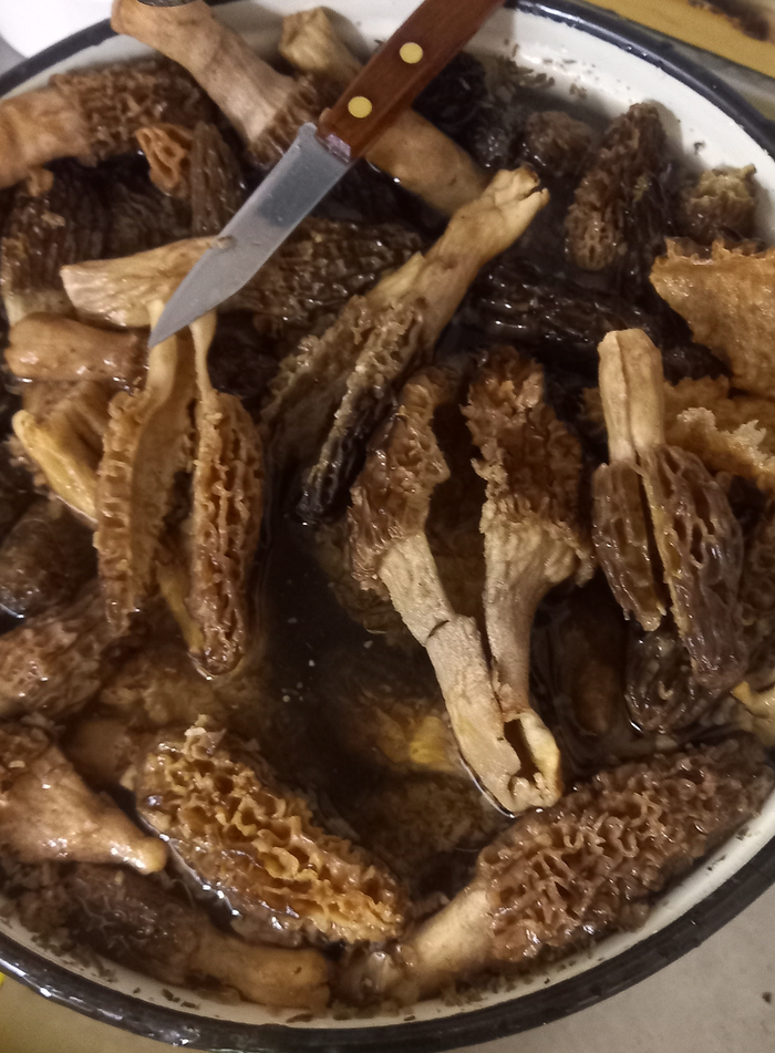 ������� ����������.