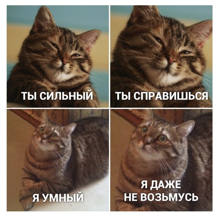 Умный)