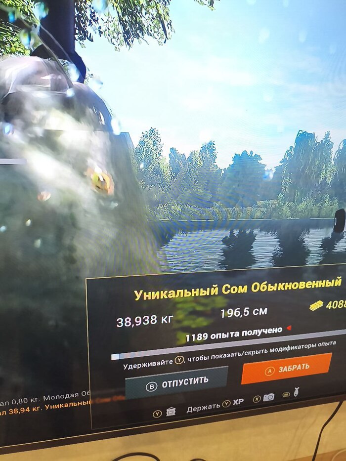 вот такой сом клюнул