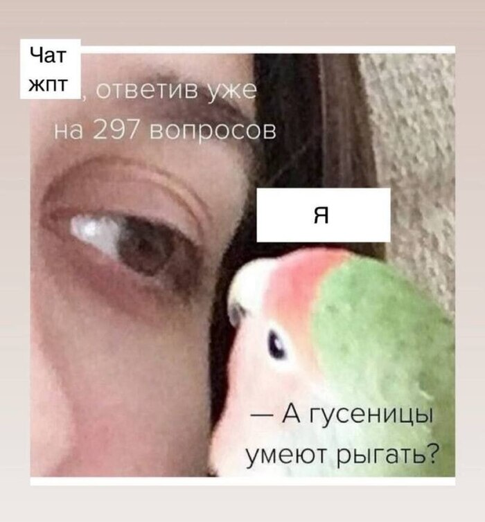 Держите утешительный мем – помог чем мог…