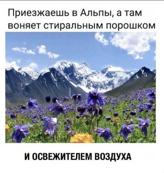   , ,   , , 