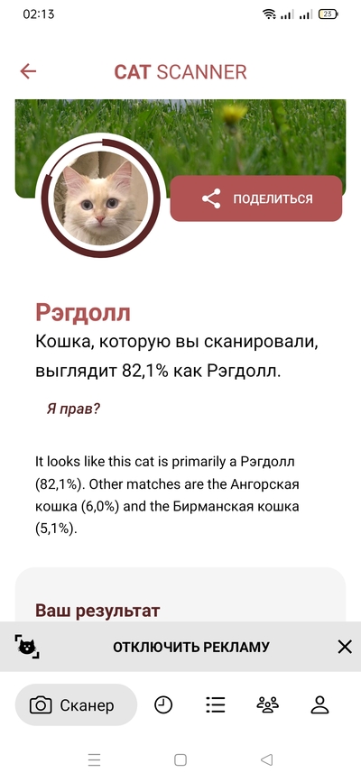 Иллюстрация к комментарию