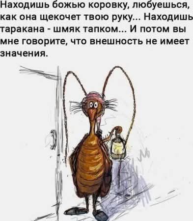  , ,   ,  , , 