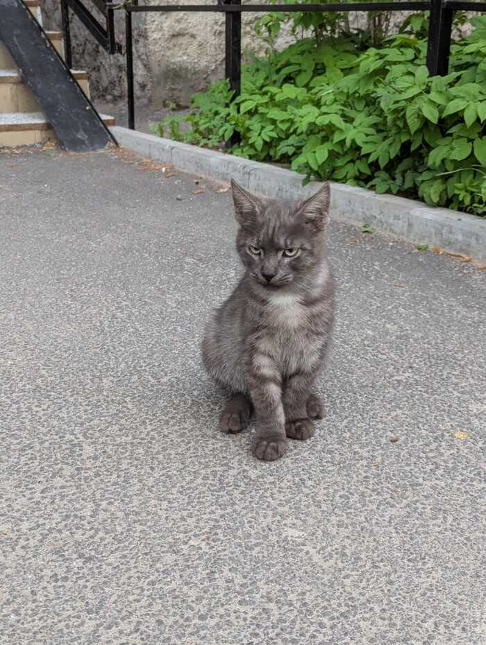 !    .     !  ,  , , -,   ,  , , 